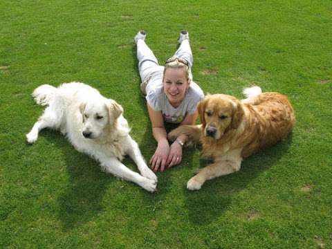 Top Dog Training School and home Boarding photo